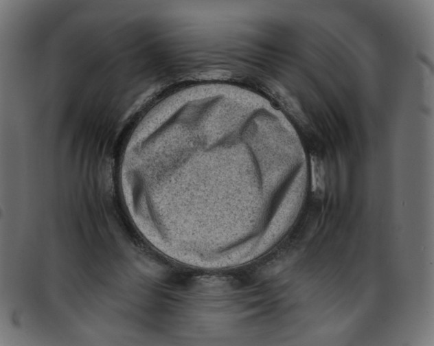 X0000096940300200803071012