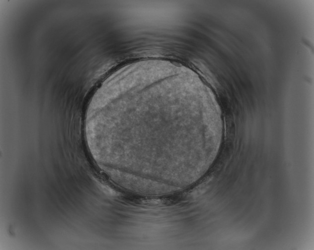 X0000096940301200803071012