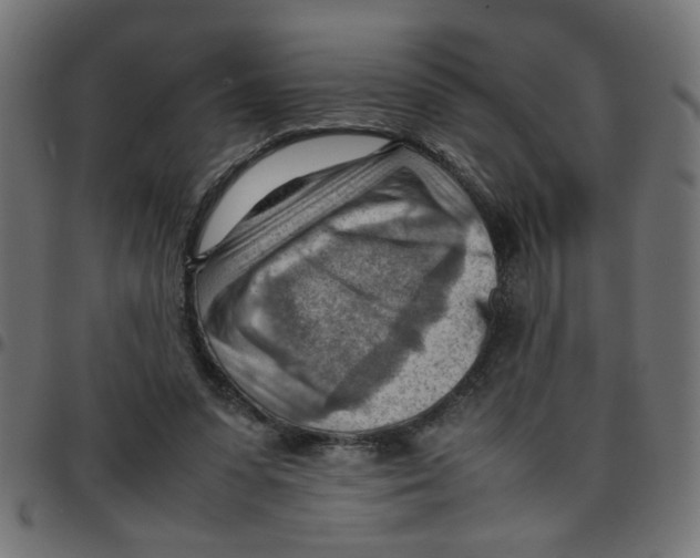 X0000096940303200803071012