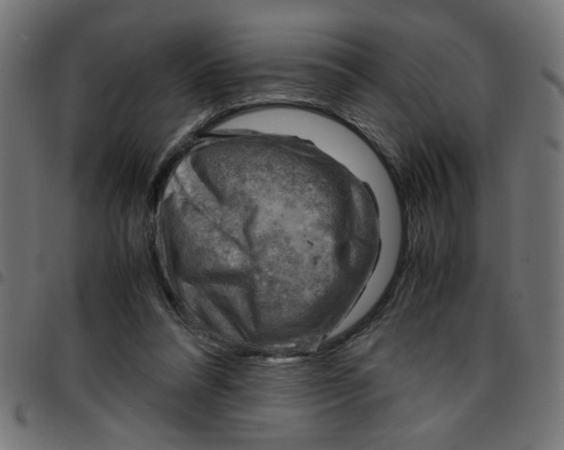 X0000096940304200803071012