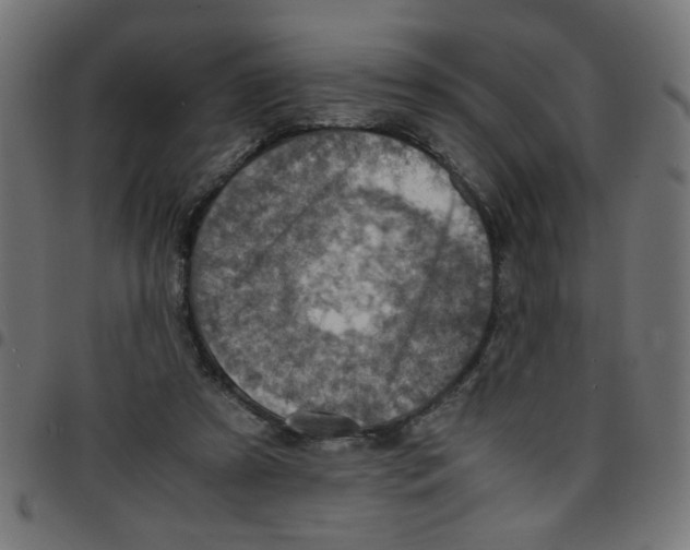 X0000096940305200803071012