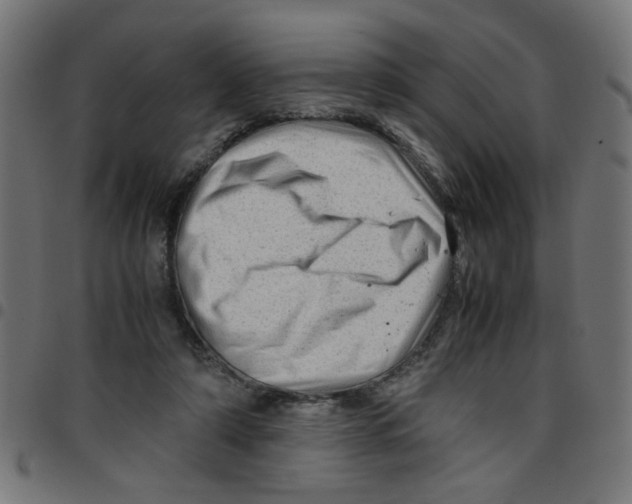 X0000096940306200803071012