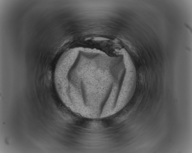 X0000096940308200803071012