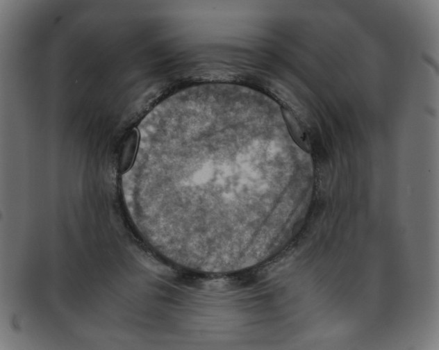 X0000096940309200803071012