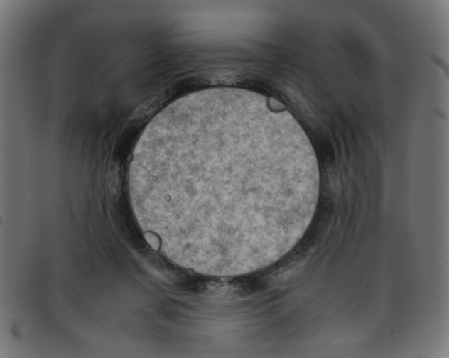 X0000096940311200803071012