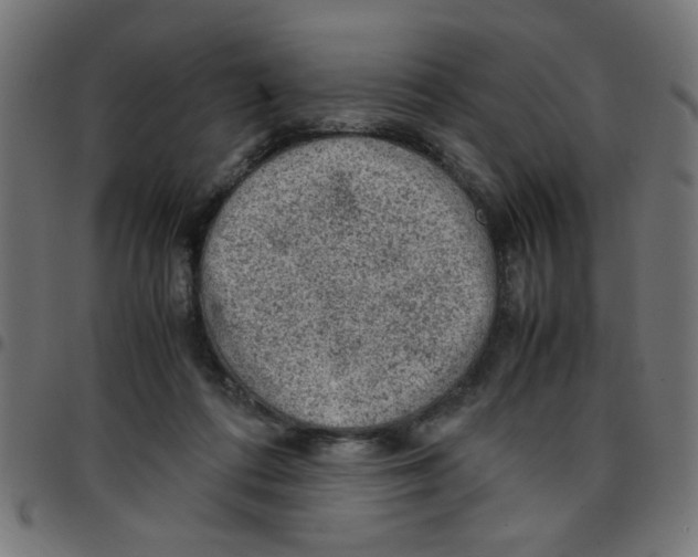 X0000096940312200803071012