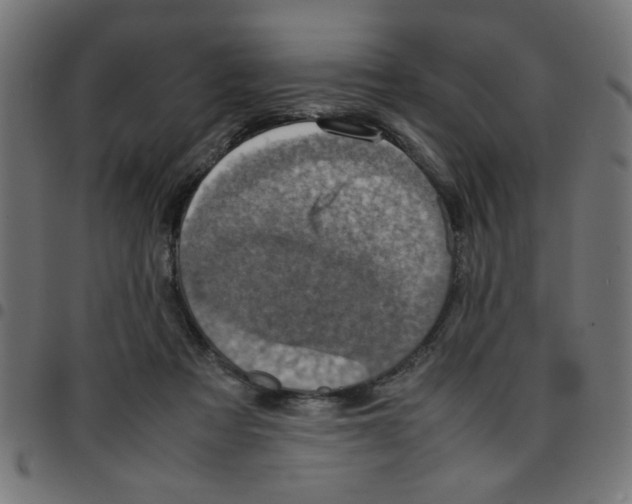 X0000096940313200803071011