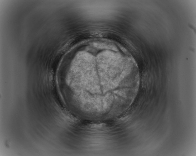 X0000096940314200803071011