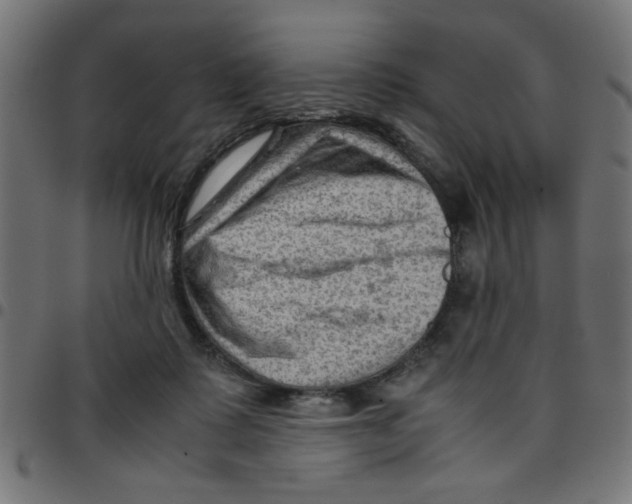 X0000096940315200803071011