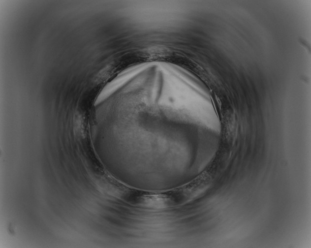 X0000096940316200803071011