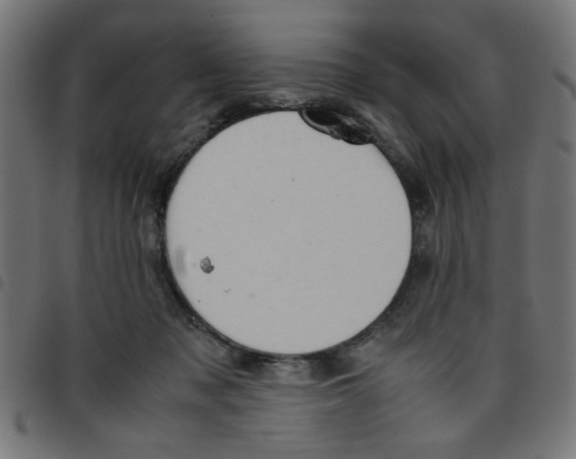 X0000096940317200803071011