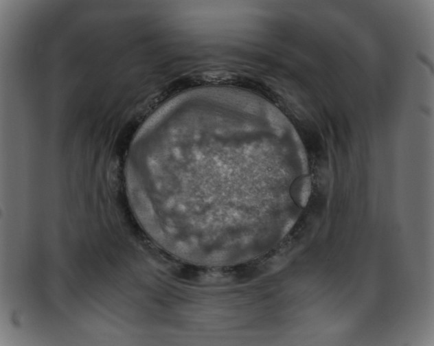 X0000096940319200803071011