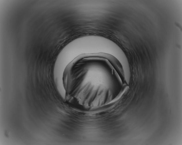 X0000096940320200803071011