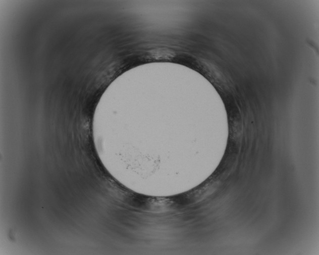 X0000096940321200803071011