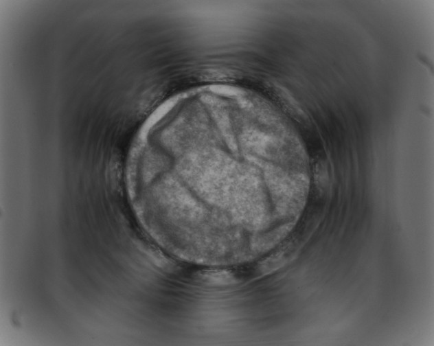 X0000096940322200803071011