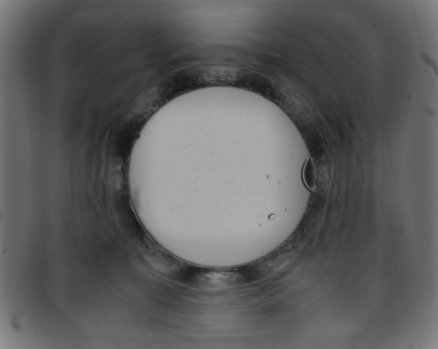 X0000096940323200803071011