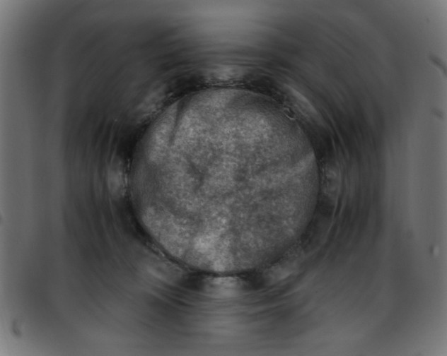 X0000096940324200803071011
