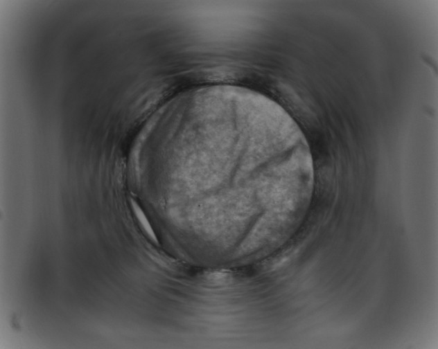 X0000096940325200803071011