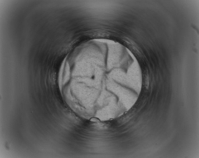 X0000096940326200803071011
