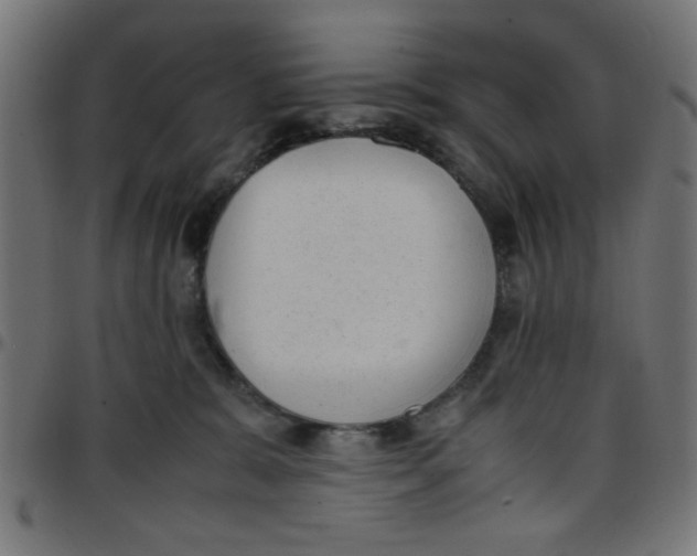 X0000096940327200803071011