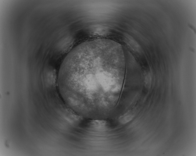 X0000096940328200803071011