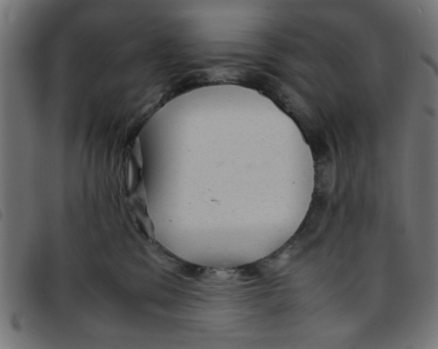 X0000096940329200803071011