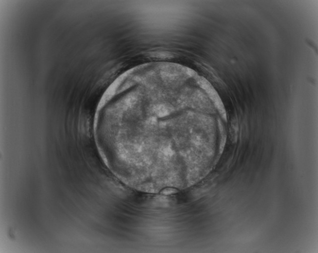 X0000096940330200803071011