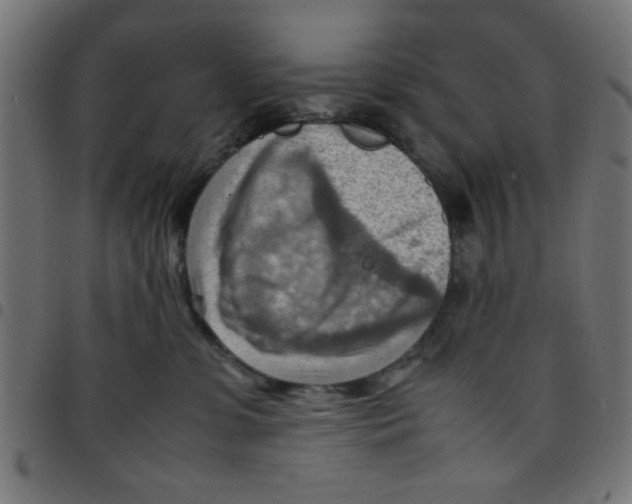 X0000096940331200803071011