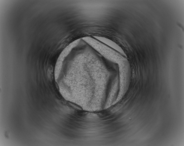 X0000096940332200803071011