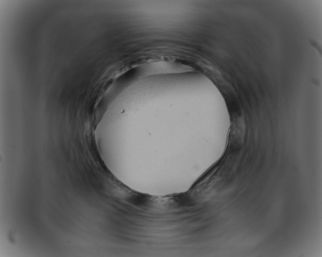 X0000096940333200803071011