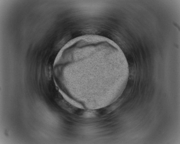 X0000096940334200803071011