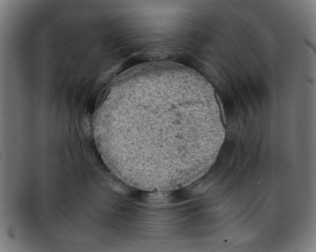 X0000096940335200803071011