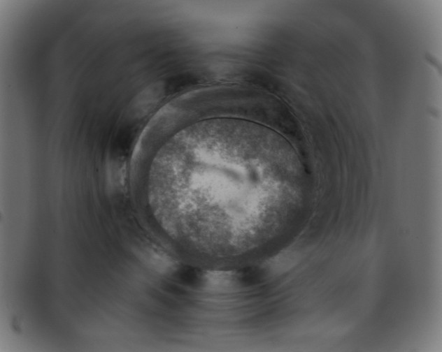 X0000096940336200803071011