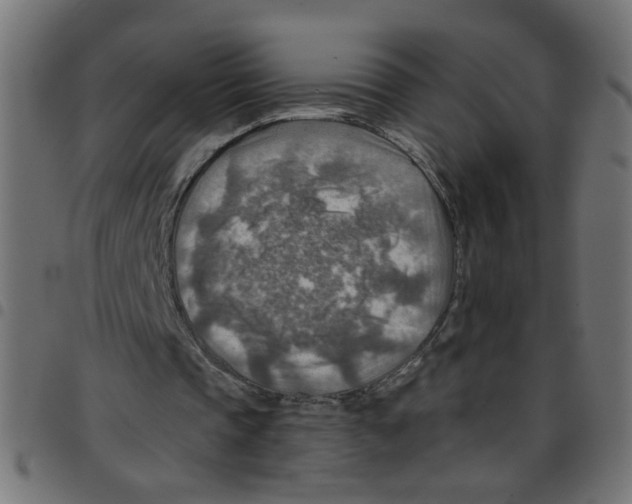 X0000096940337200803071011