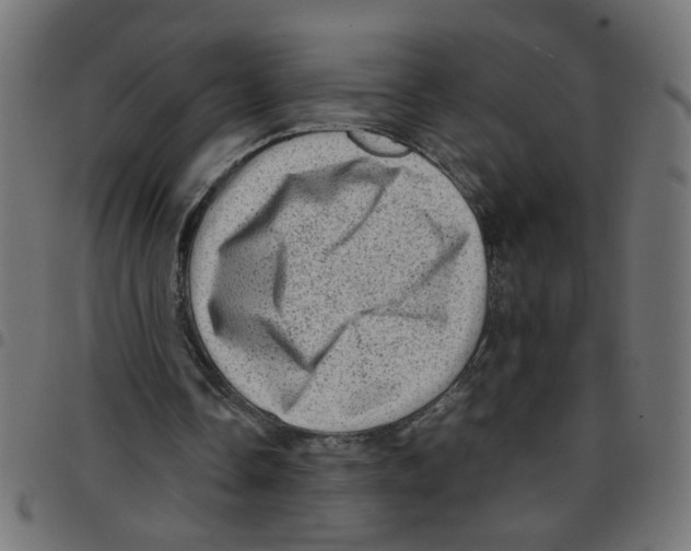 X0000096940338200803071011