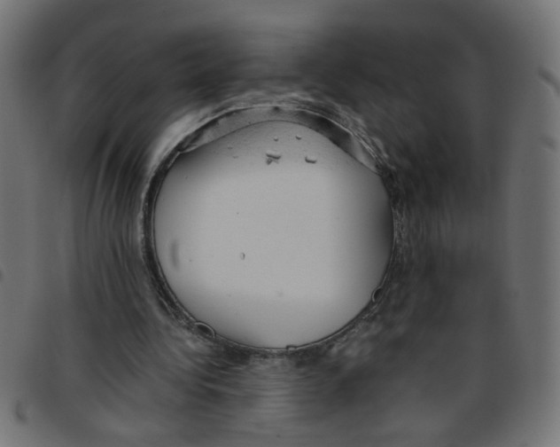 X0000096940340200803071011