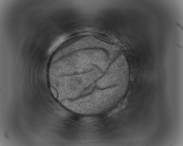 X0000096940341200803071011