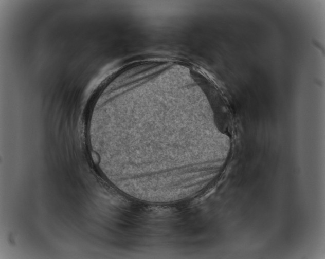 X0000096940343200803071011