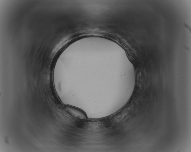 X0000096940344200803071011