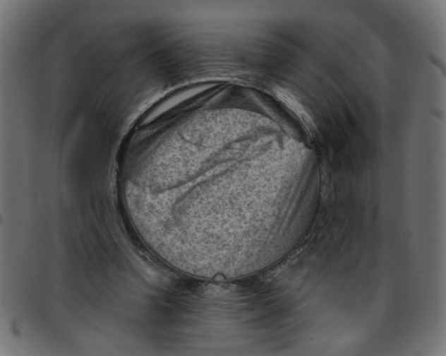 X0000096940346200803071011