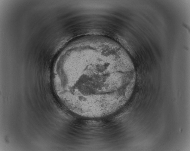 X0000096940347200803071011