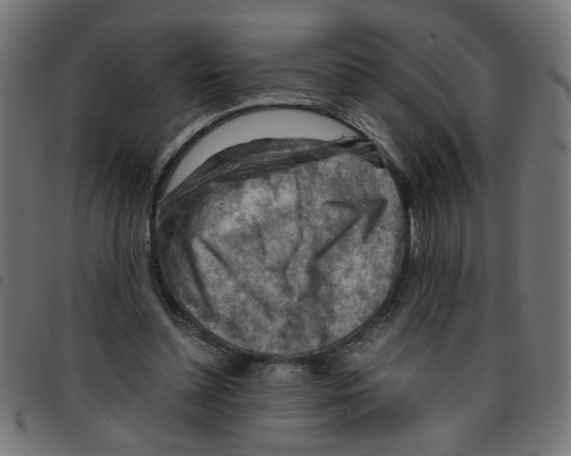 X0000096940348200803071011
