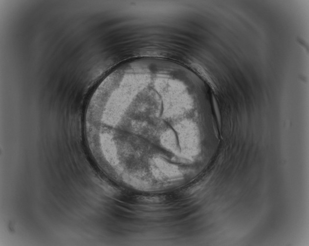 X0000096940349200803071011