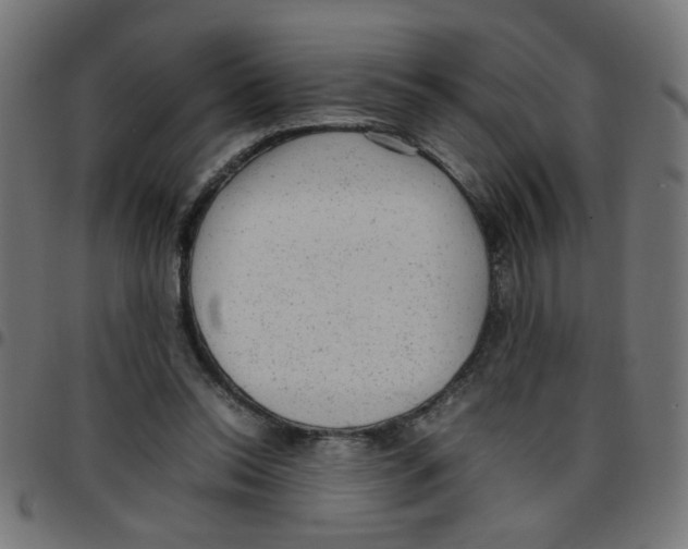 X0000096940350200803071011