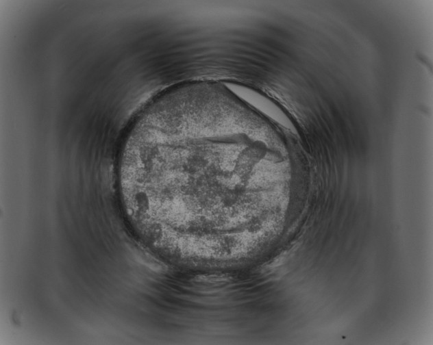 X0000096940351200803071011