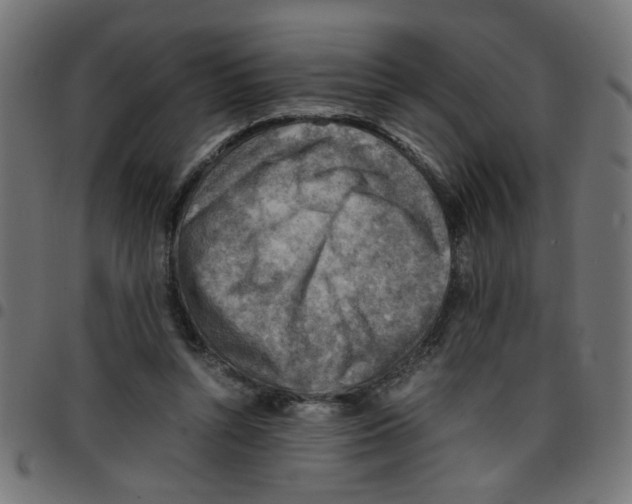 X0000096940352200803071011