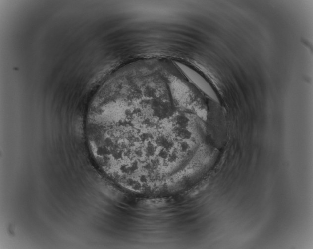 X0000096940353200803071011