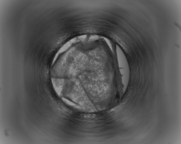 X0000096940355200803071011