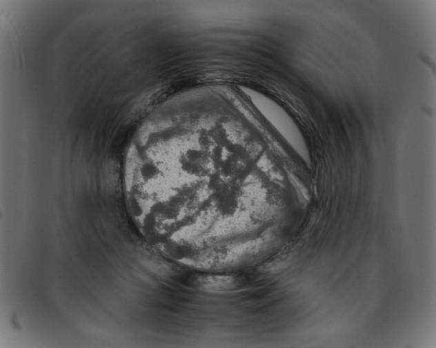 X0000096940361200803071011