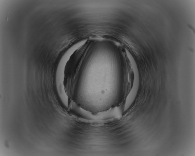 X0000096940362200803071011